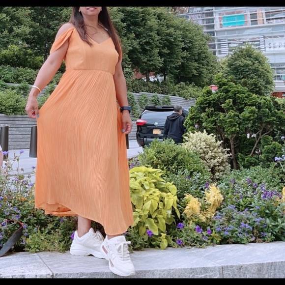 Express Dress - Picture 3 of 3